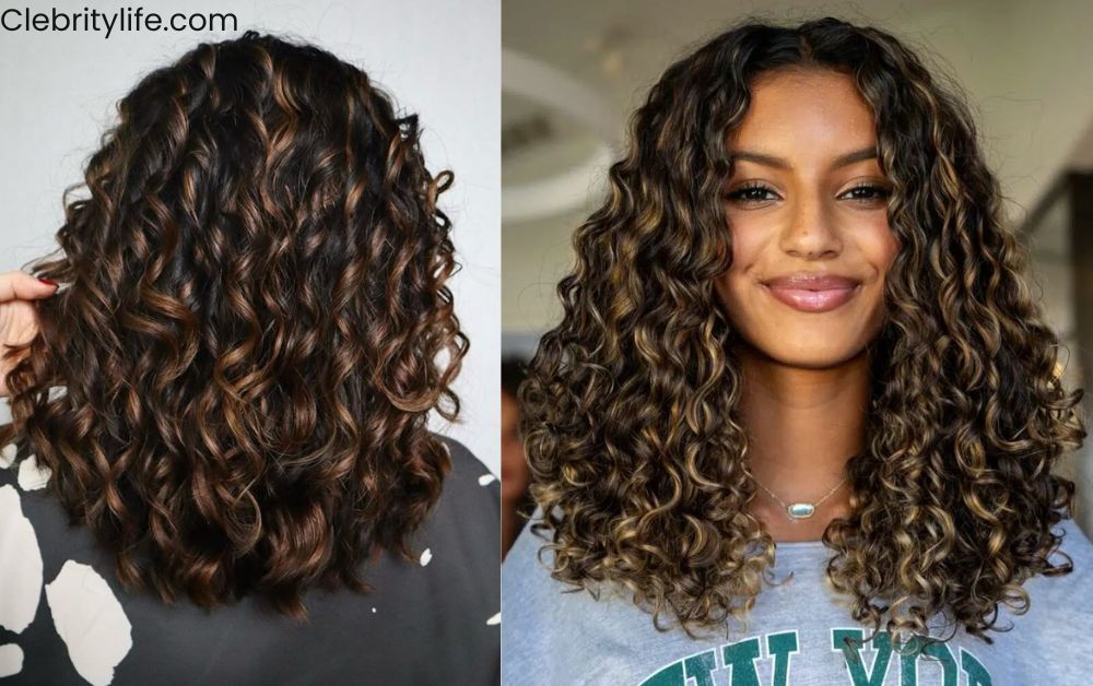 Black Hair with Highlights Caramel: Bold & Warm Look 10 Beautiful Curly Black Hair with Caramel Highlights Ideas & Styles