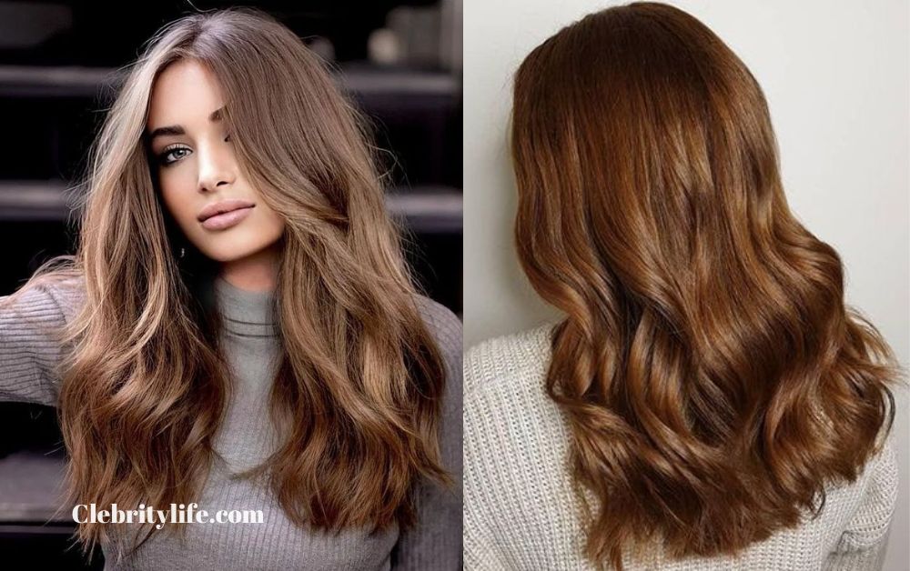 Low Lights for Brown Hair: Natural Depth & Dimension 6 Beautiful Golden brown lowlights