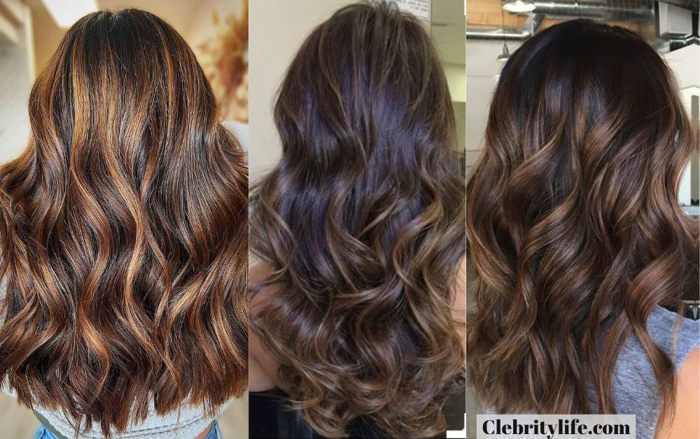 Black Hair with Highlights Caramel: Bold & Warm Look 6 Three Lovely subtle caramel highlights Styles