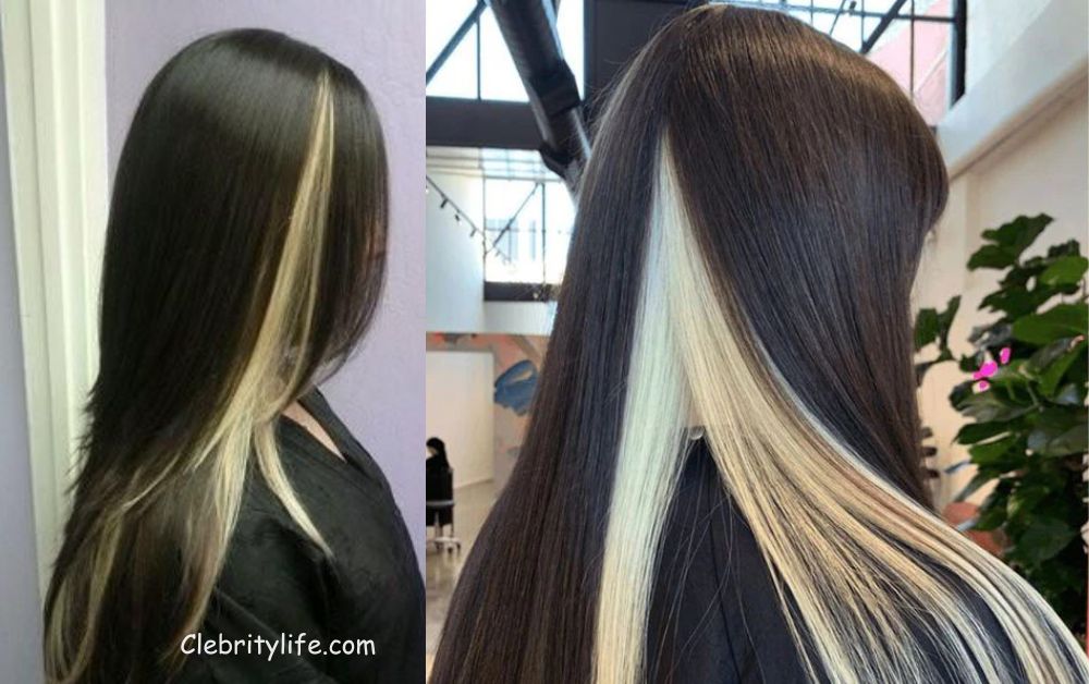 Beautiful Black Hair with Blonde Highlights Style Ideas  15 Two Blonde Peekaboo Highlights Beautiful Ideas