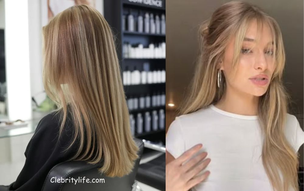 Beautiful Black Hair with Blonde Highlights Style Ideas  16 Two Sandy Blonde Streaks Ideas