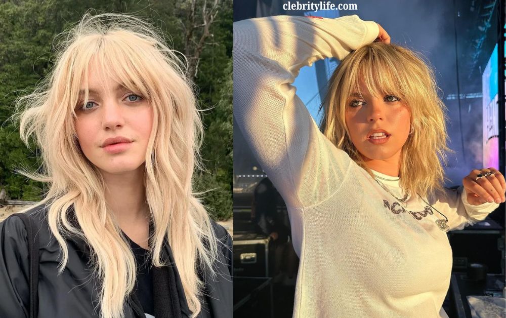 Classic Wolf Haircut