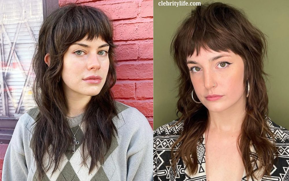 Long Wolf Haircut