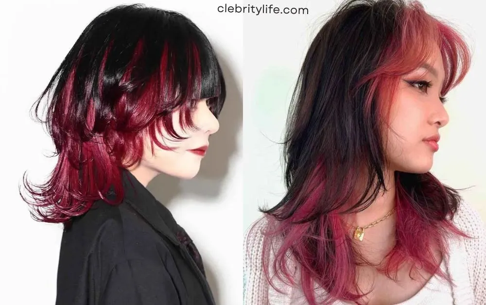 Wolf Haircut Styles: Trendy & Edgy Hair Inspiration 7 Two Designs Colored Wolf Cut with Highlights