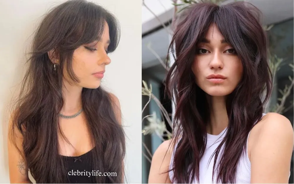 Wolf Haircut Styles: Trendy & Edgy Hair Inspiration 5 Two Designs Wolf Cut with Long Layers