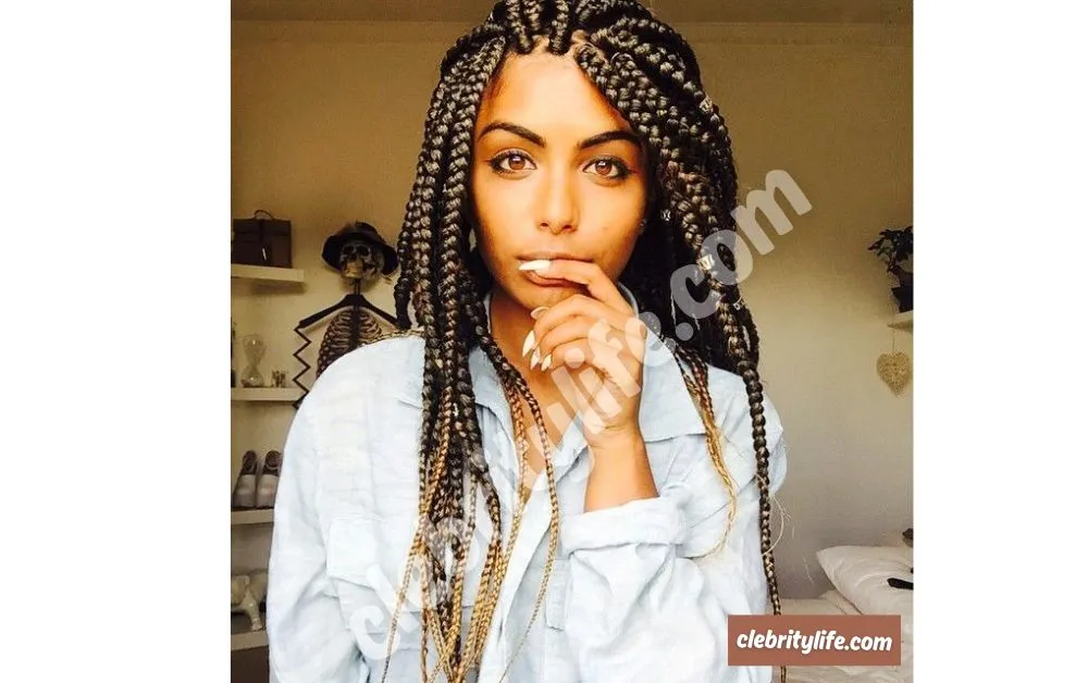 Beautiful Box Braids Hairstyles for Black Women Look