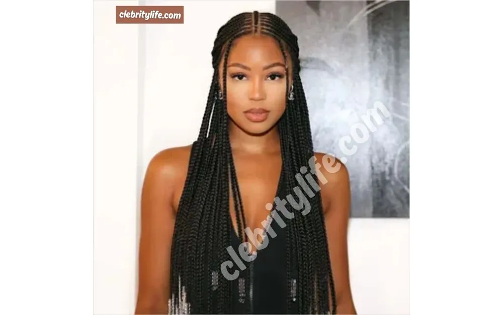 Beautiful Fulani Braids Hairstyles for Black Women Look