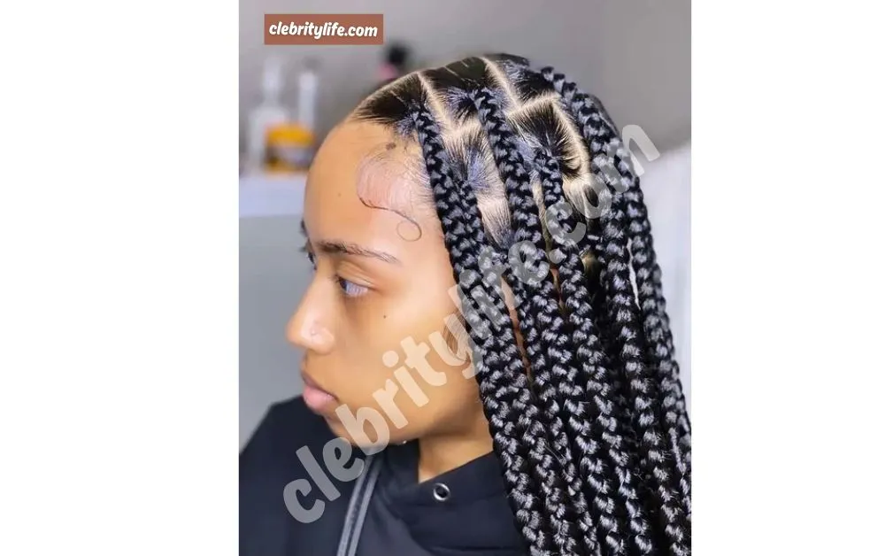 Beautiful Knotless Braids Hairstyles for Black Women Look