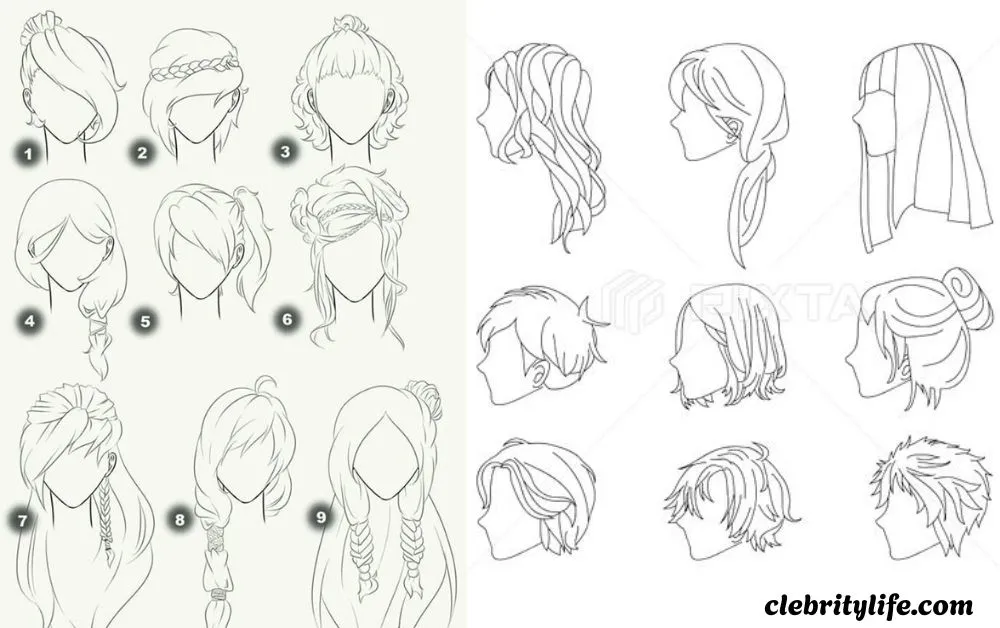 Hairstyles Drawing Ideas: Creative Ways to Master Hair Art 4 _Easy Hairstyles Drawing Ideas for Beginners multiple Ideas