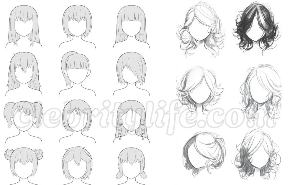 Hairstyles Drawing Ideas: Creative Ways to Master Hair Art 5 Hairstyles Drawing Ideas with Different Hair Textures multiple Ideas
