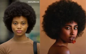 Two Afro Hairstyle Styles