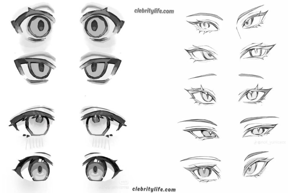 Eye Drawing: Learn to Draw Eyes Like a Professional Artist 4 Two Anime Eye Drawing Ideas