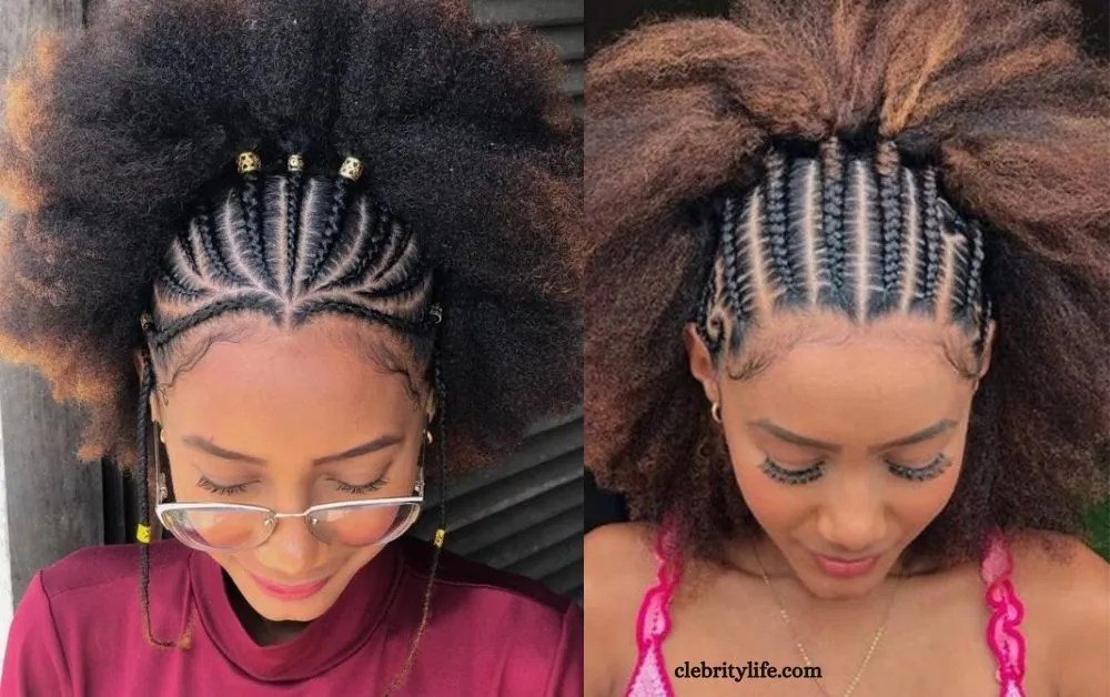 Stunning Afro Hairstyles for Every Face Shape 9 Two Braided Afro Styles