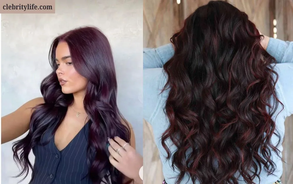 Gorgeous Burgundy Hair Color Ideas for Every Hair Type 5 Two Burgundy Highlights Styles