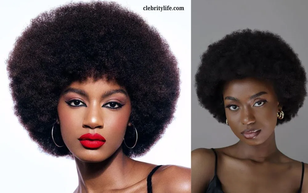 Stunning Afro Hairstyles for Every Face Shape 2 Two Classic Rounded Afro Hairstyle Styles