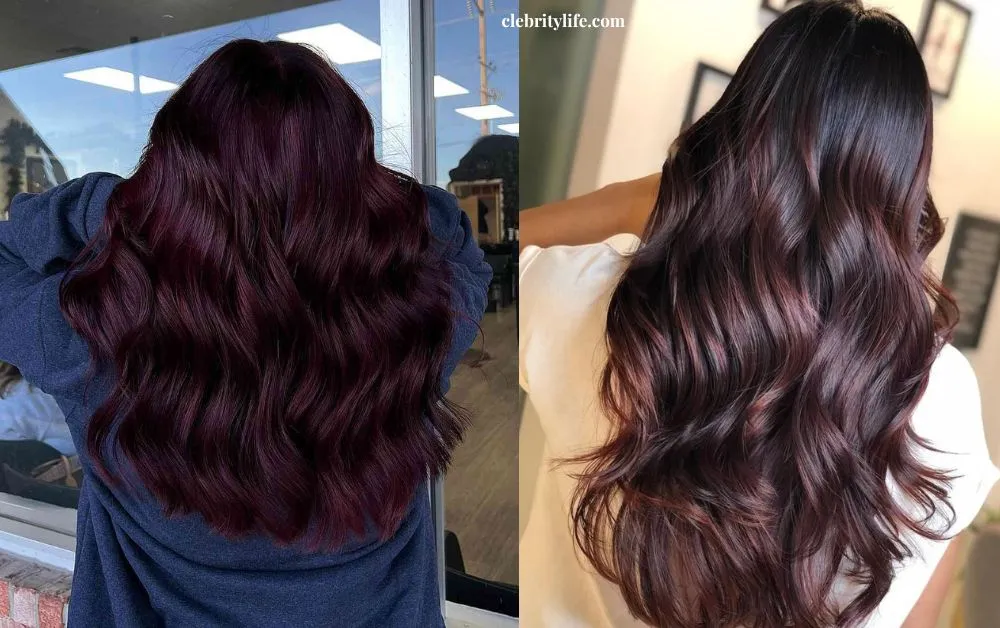 Gorgeous Burgundy Hair Color Ideas for Every Hair Type 3 Two Dark Burgundy Hair Styles