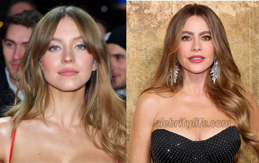 Two Light Brown Hair IDEAS