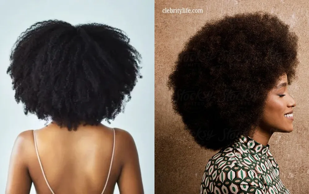 10 Stunning Black Hair Ideas for Stylish Everyday Looks 5 Two Natural Afro back hair ideas