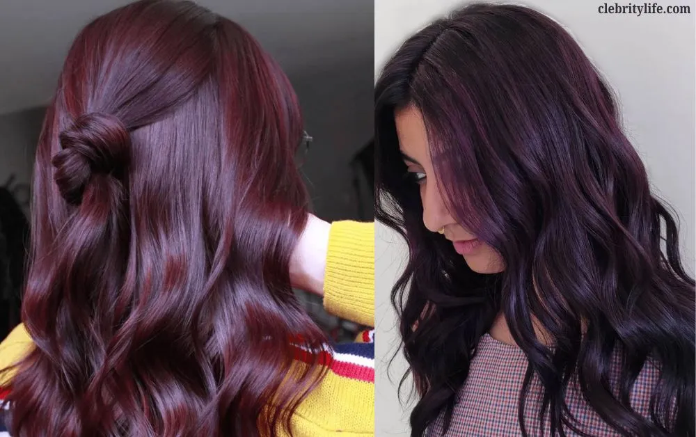 Gorgeous Burgundy Hair Color Ideas for Every Hair Type 6 Two Plum Burgundy Hair Styles