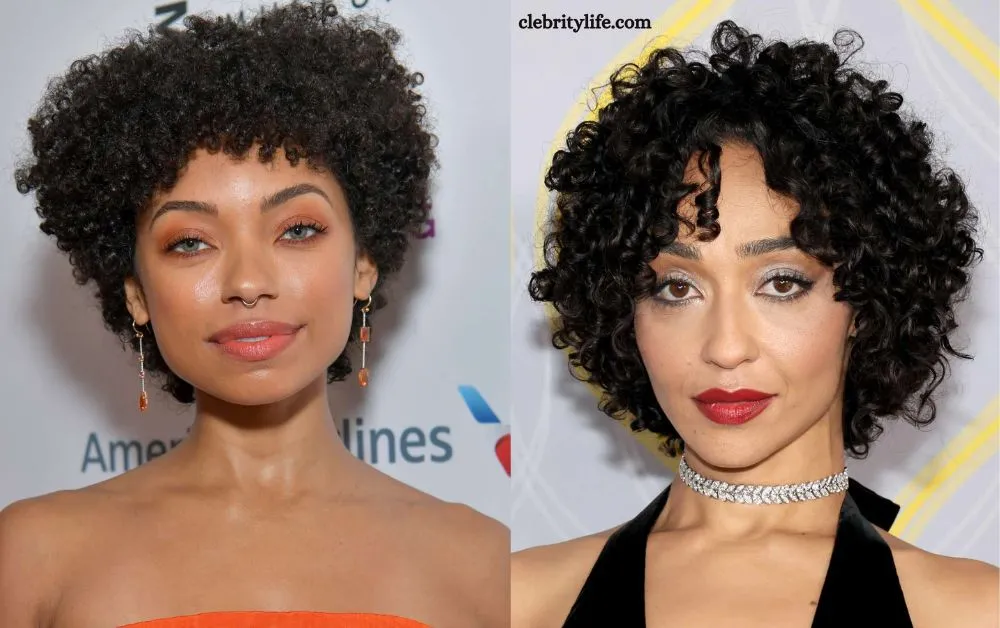 Stunning Afro Hairstyles for Every Face Shape 3 Two Tapered Afro Cut Styles