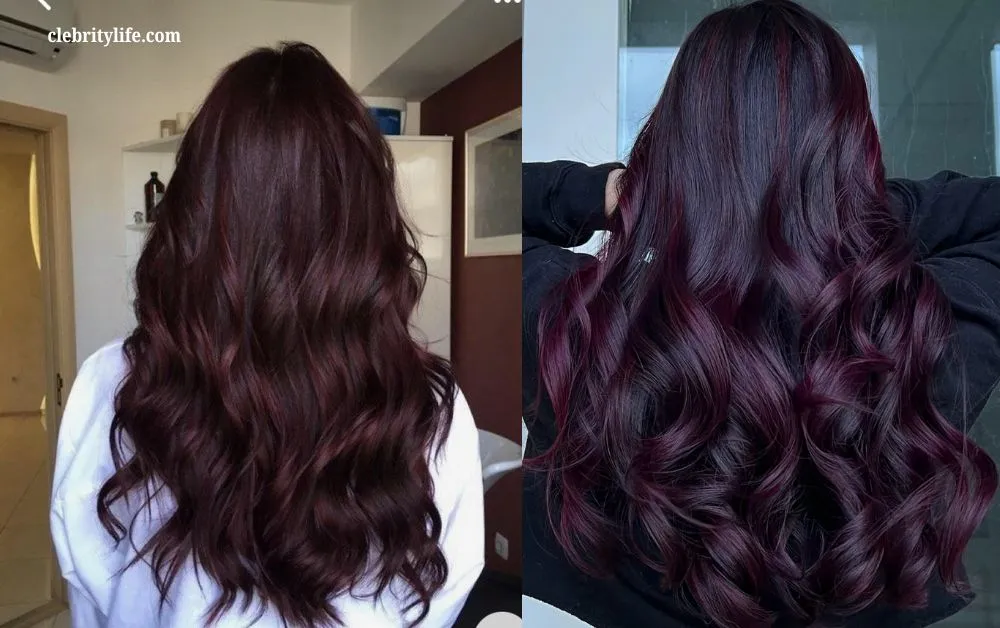 Gorgeous Burgundy Hair Color Ideas for Every Hair Type 10 Two Wine Burgundy Hair Styles