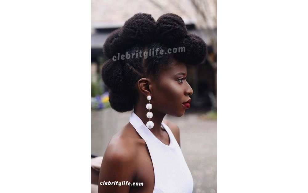 10 Elegant Natural Hair Updo Styles for Black Women 10 Beautiful Mohawk-Inspired Natural Hair Updo Styles for Black Women look