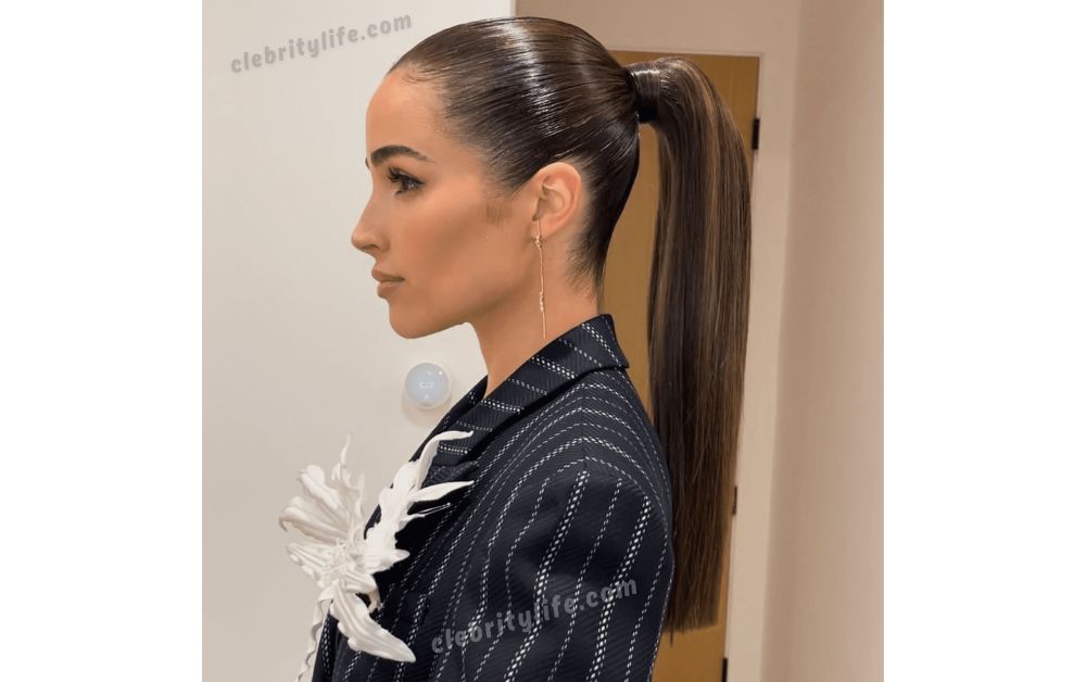 Hair for Work: Professional & Easy Styles for Every Day 2 Sleek Ponytail Styles for a Clean Workplace Look